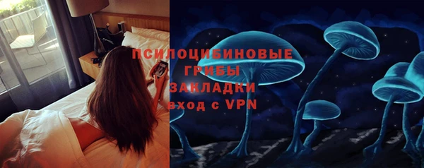 бошки Алексин