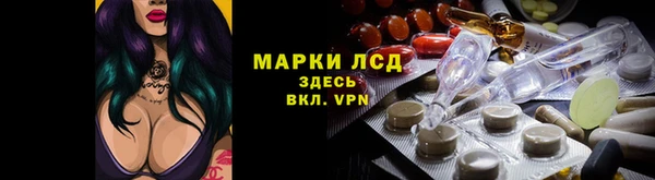 твердый Абаза