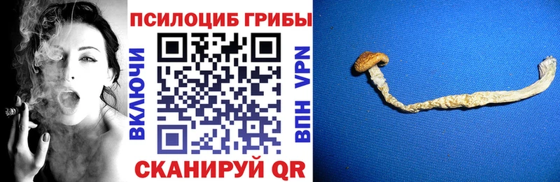 маркетплейс как зайти  хочу   Владимир  Галлюциногенные грибы ЛСД 