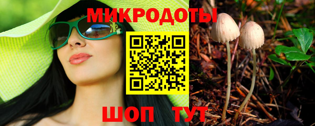 Владимир  Псилоцибиновые грибы ЛСД  Вход с VPN 